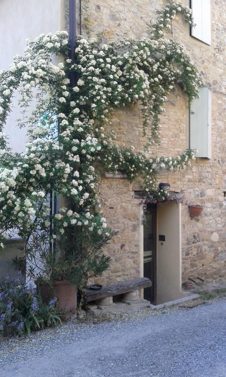 Agriturismo Il Gelso Traversetolo Eksteriør bilde