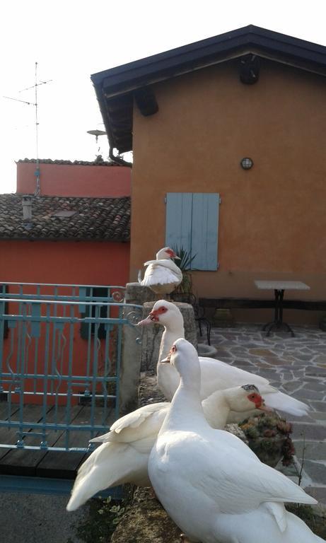 Agriturismo Il Gelso Traversetolo Eksteriør bilde