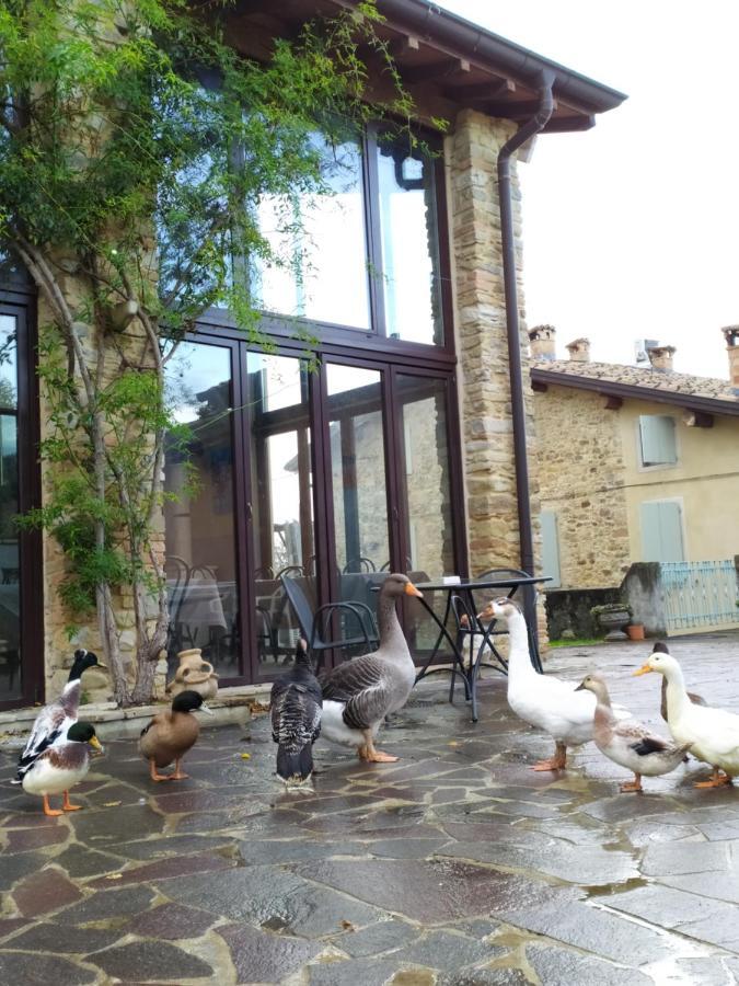 Agriturismo Il Gelso Traversetolo Eksteriør bilde